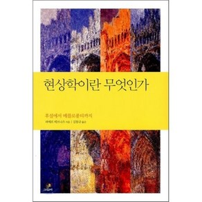 현상학이란 무엇인가:후설에서 메를로퐁티까지, 그린비, 피에르 테브나즈 저/김동규 역