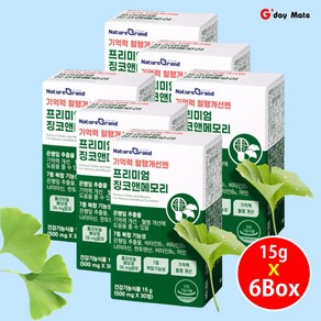 기억력 혈행개선 은행잎 추출물 혈액순환도움 징코앤메모리 50mg [그다이마잇], 6개, 30정