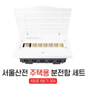 서울산전 주택용 매입형 분전반 6회로 30A 세트, 1개