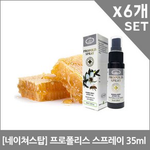 네이쳐스탑 프로폴리스 스프레이 35ml X 5개, 6개