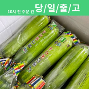 국내산 애호박 가정용 못난이 [신흥유통][무료배송][산지직송], 1개, 애호박 10개 (가정용/못난이)