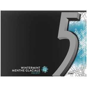 리글리 5 Gum 윈터민트 껌 15피스 1팩