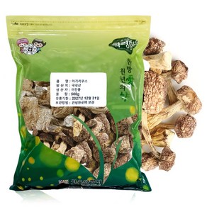 천년약초 국산 아가리쿠스버섯 신령버섯, 1개, 100g