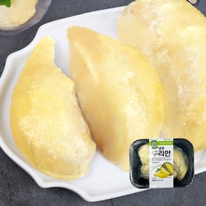 냉동 두리안 500g 열대과일 손질과일, 냉동 두리안500g, 1개