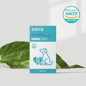 강아지 올인원 종합영양제 조하이젠 60g 기관지 눈물 관절 피모 슬개골탈구, 1개