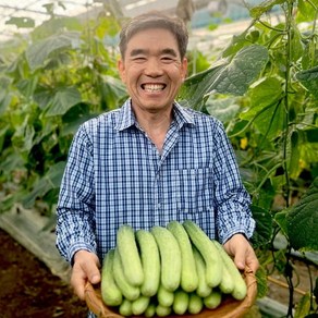 GAP인증 땅에서 자란 학교 급식 용 수분가득 싱싱한 백다다기 오이 백오이, 1박스, 백다다기오이 2.8kg(15개내외)