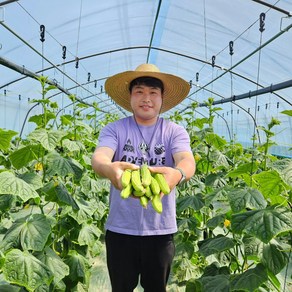[산지직송 당일발송] 예스팜 백다다기 오이 오이지오이 소박이오이 양주오이5kg, 1박스, 5kg
