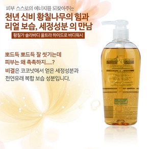 황칠가 솔라바디 울트라 하이드로 바디 워시, 300ml, 1개