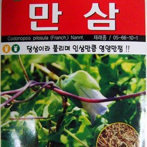 [가람종묘사] 만삼 씨앗(당삼이라 불리며 인산만큼 영양가 높은 산야초), 1개