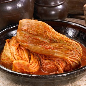 무명김치 전라도 묵은지 맛있는 묵은김치 신김치 해남 강진