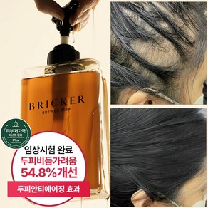 브릭커 브루드 비어 맥주효모 캐스터오일 탈모샴푸, 1개, 500ml