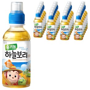 웅진 유기농 하늘보리차, 200ml, 24개