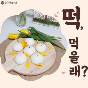 엄마표밥상 맛있는 굳지않는 건강 선물 아침 식사대용 성인 부모님 아이들 아이 유아 간식 영양 자연 발효 앙금 방울 기정 술 떡 증편 술빵 잔기지떡 기정떡