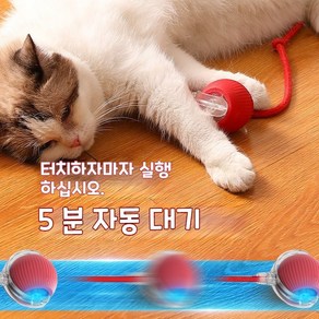 Sopci 고양이 자동 장난감 공 LED 스마트 움직이는 캣볼, 1개, 그린