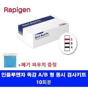 래피젠 독감검사 인플루엔자 검사 키트 10개, 1세트, 10매입