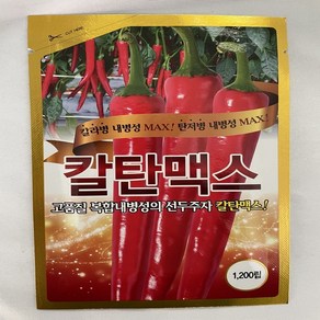 고추종자 칼탄맥스 1200립 농우바이오 고추씨앗 극대과 탄저병 역병 내병계 +전용장갑세트, 1개