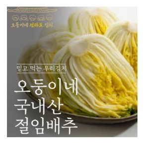 오둥이네 전라도 해남 절임배추 1kg-20kg, 1kg