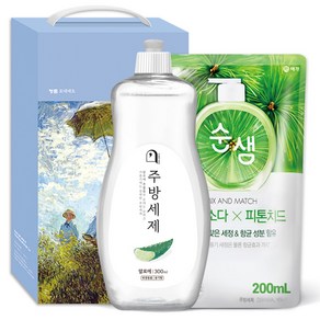 오늘의쉼표 세제 선물세트 답례품 알로에 13호 (주방세제 용기 300ml + 순샘주방세제 리필), 1개