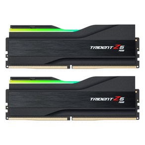 G.SKILL DDR5-5600 CL30 TRIDENT Z5 RGB J 패키지 (32GB(16Gx2)), 2개