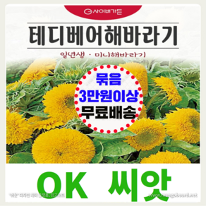 [OK씨앗] [테디베어해바라기] 해바라기씨앗 종자(오케이씨앗), 1개