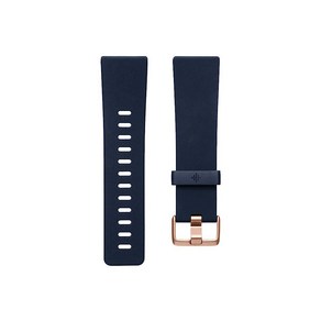 Fitbit Vesa Classic 밴드 네이비