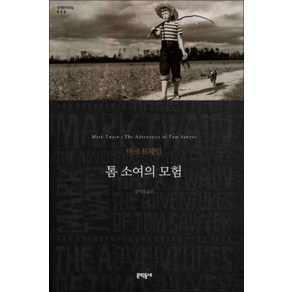 톰 소여의 모험 (문학동네 세계문학전집 56), 문학동네, 마크트웨인