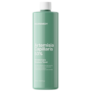 메디레머디 사철쑥53 주름개선 모이스처 토너 500ml, 1개