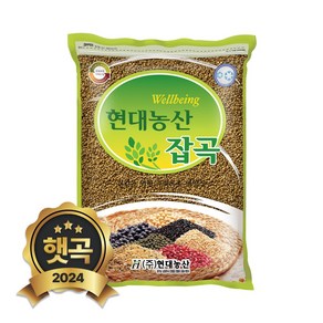 현대농산 국산 차조 2kg