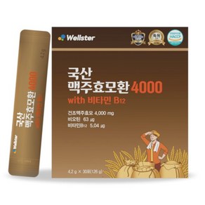 웰스터 국산 맥주효모환 4000 4.2g x 30포, 126g, 1개