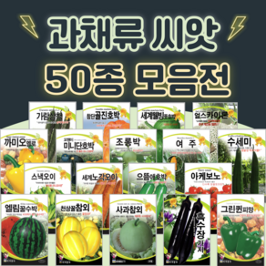 호박 단호박 수박 오이 씨앗 종자 50종 수세미 방울 토마토 파프리카 씨앗 여주 종자, 25. 흑수장가지100립, 1개