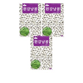 모두다 채소씨앗 흰강낭콩씨앗(30g), 3개