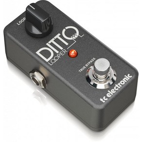 tc electonic 1 버튼 루퍼 DITTO LOOPER