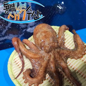 살아있는 통영 자연산 돌문어 1kg 문어라면용 제수용 문어숙회 자숙문어, 500g, 1개