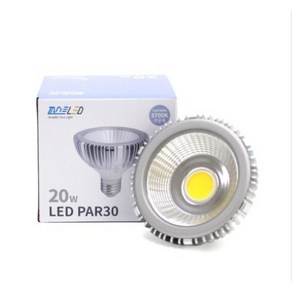 퍼스트 LED PAR30 COB타입 20W 램프 파30 전구 파삼공램프, 주광색, 1개