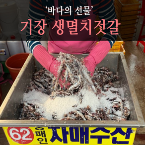 봄멸치 김장용 기장멸치 생멸치소금간, 20kg, 1개