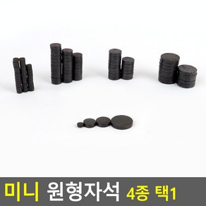 과학실험용 흑자석 미니 원형 자석 교구 학교 교육 마그넷 초등과학 체험학습 부속 학원 실험도구, 1개