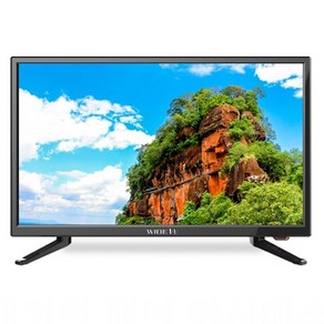 와이드뷰 FHD LED TV, 55cm, WV220FHD-E01, 스탠드형, 고객직접설치