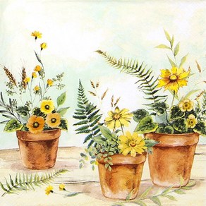 식물 화분 냅킨 K-28-008, 믹스, 1세트, 5개