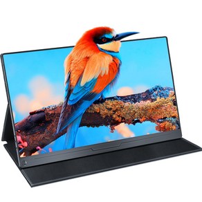 EVICIV 18.5인치 대화면 42.6cm FHD 1080p 120Hz 포터블 업무용 DEX 휴대용 모니터 185E03