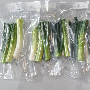[한끼채]대파 손질 대파 진공포장 1팩100g(총10팩 1kg) 국내산, 100g, 10개