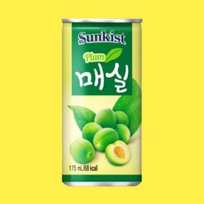 썬키스트 매실 175ml 60캔, 60개