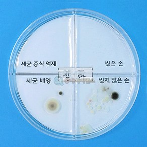 세균 배양과 증식 억제 실험하기(4인세트)