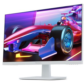 비트엠 NEWSYNC 25R2 IPS FAST 240 게이밍 280UP 게이밍모니터 화이트, 무결점, 62cm