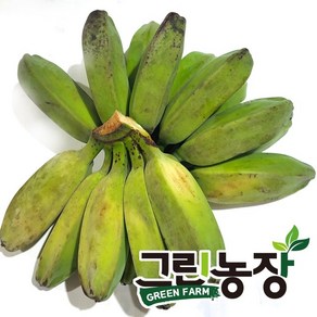 그린 사바 바나나(green saba banana) 그린농장