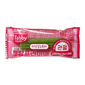 테비 덴탈프라이머 관절 10g x 20p, 20개