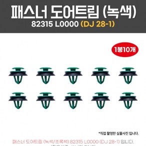 DJ28-1 패스너도어트림 82315L0000 1봉 10개 테두리흡음재포함 화스너