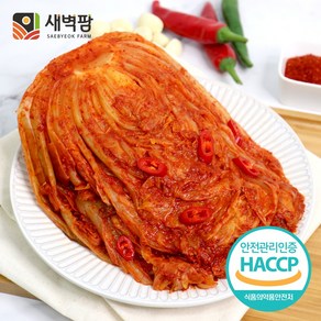 새벽팜 묵은지 국산 전라도김치 참매실 새벽김치, 3kg, 1개