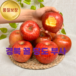 [프레쉬페이] 꿀 당도 과즙 경북 부사 사과 청송, 1박스, 프리미엄 부사 중대과 3kg