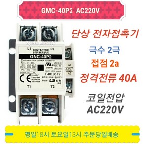 LS산전 GMC-40P2 AC220V 단상 전자접촉기 2P40A, 1개