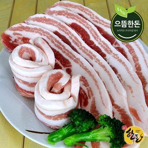 한돈 냉장 삼겹살 500g 구이용 국내산, 단일상품/삼겹살(구이용)500g